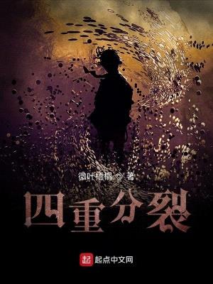 四重分裂封面