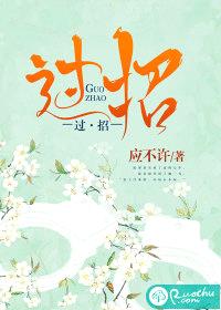 过招封面