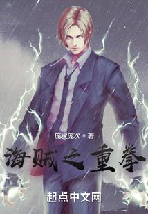 海贼之重拳封面