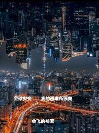 全球灾变，我的避难所很美封面